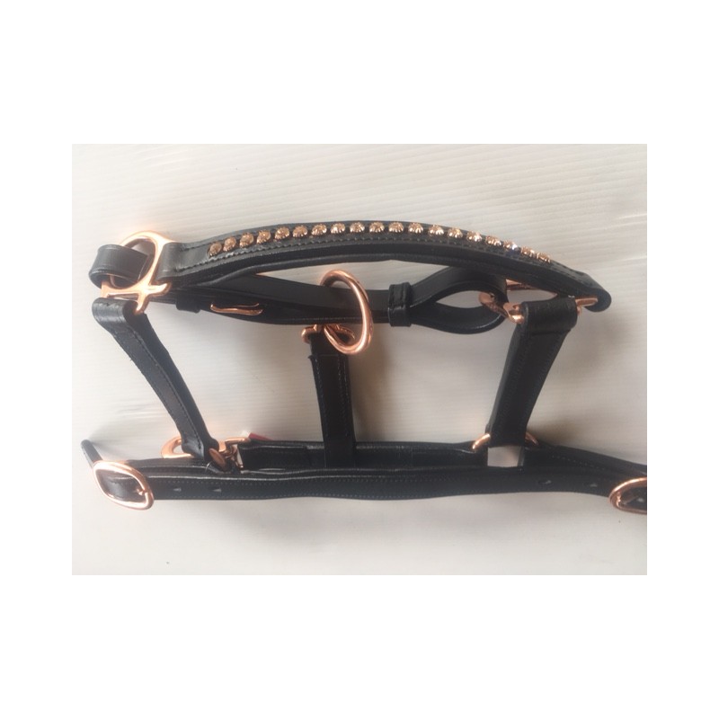 Licol Foal Cuir Rose Gold Double Réglage