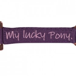 Licol Lucky Pony