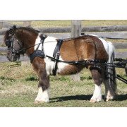 Harnais De Conduite Cuir - Pour Mini Cheval Ou Petit Poney - Neuf